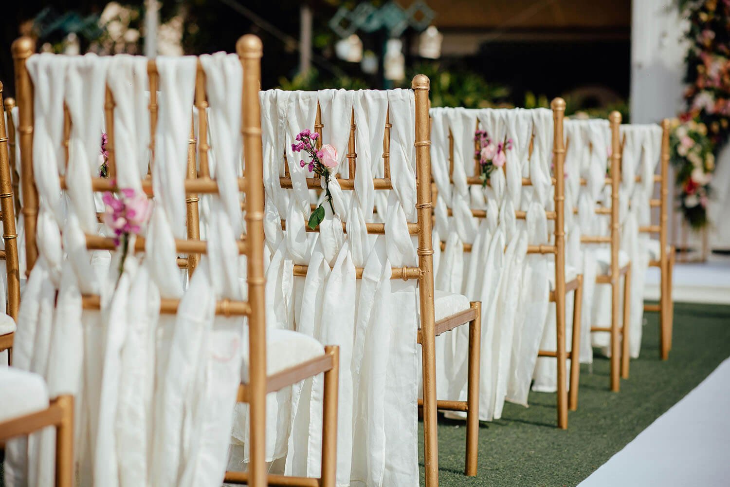 pexels-thevisionaryvows-32854441 (1)